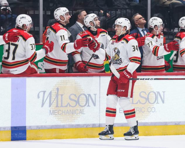 Grand Rapids Griffins left wing Eduards Tralmaks along the bench
