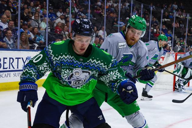 Florida Everblades battle the Jacksonville Icemen