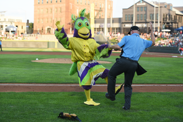 BirdZerk! at Day Air Ballpark, home of the Dayton Dragons