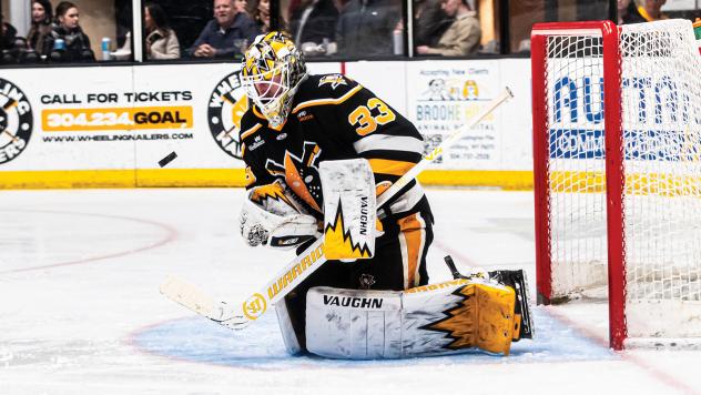 Wheeling Nailers goaltender Taylor Gauthier