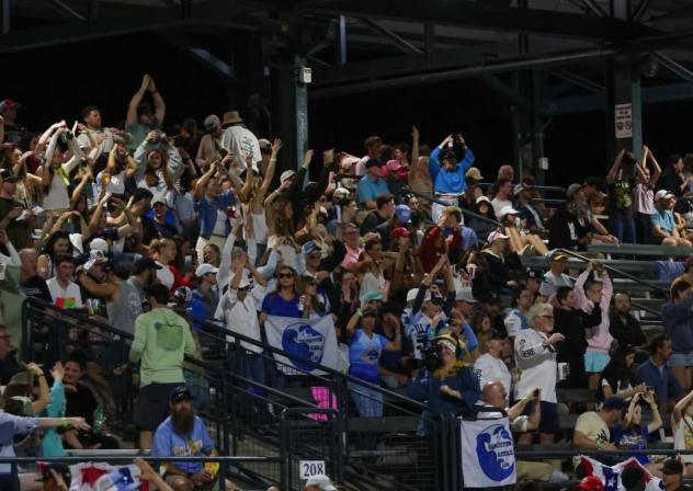 Charleston RiverDogs fans at at Joesph P. Riley, Jr. Ballpark on opening night
