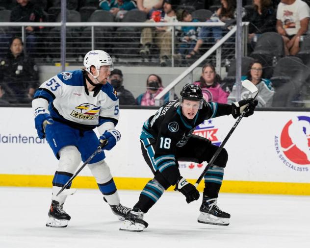 San Jose Barracuda forward Filip Bystedt (right) vs. the Colorado Eagles