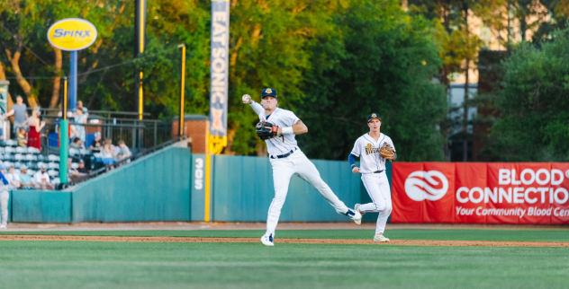 Charleston RiverDogs shortstop Daniel Pierce