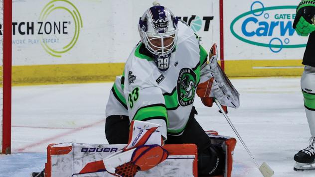 Savannah Ghost Pirates goaltender Vinnie Purpura