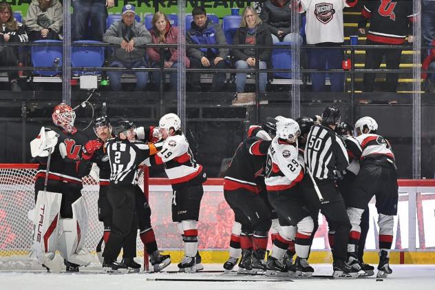 Belleville Senators battle with the Utica Comets