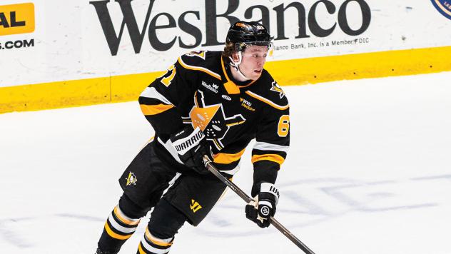 Ryan McAllister of the Wheeling Nailers