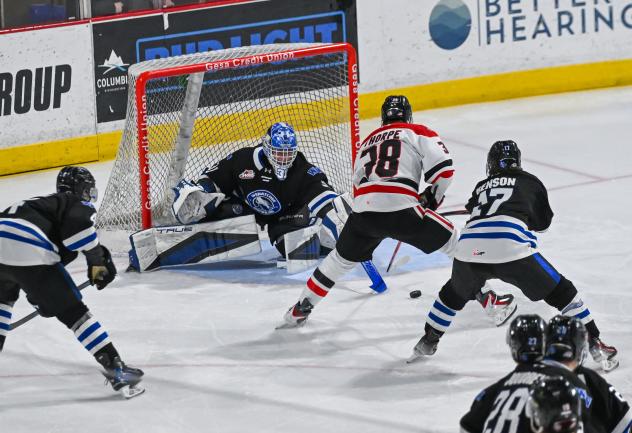 Wenatchee Wild goaltender Tobias Tvrznik