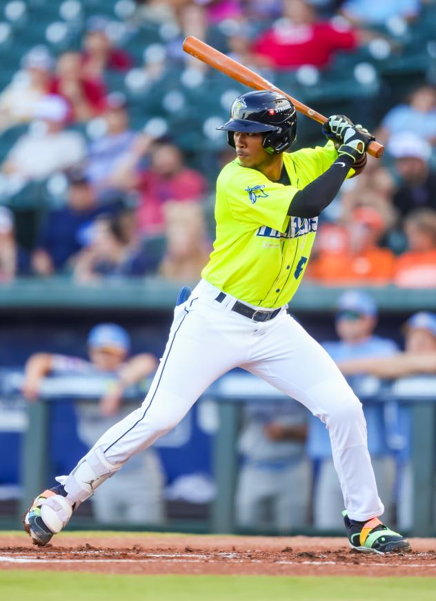Yandel Ricardo of the Columbia Fireflies
