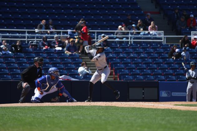 Somerset Patriots left fielder DJ Gladney