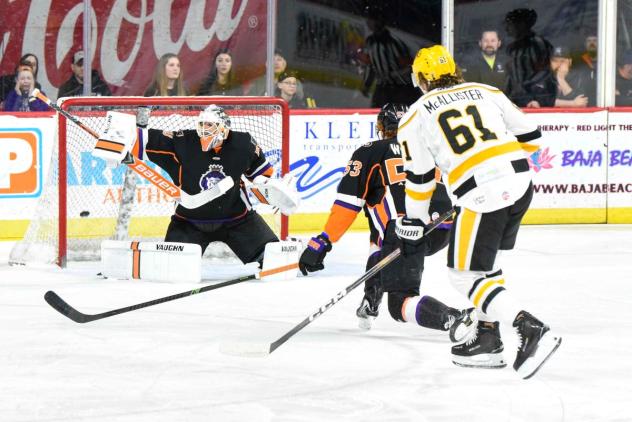 Ryan McAllister of the Wheeling Nailers scores against the Reading Royals