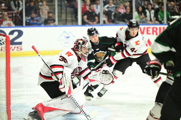 Rapid City Rush's Nathan Torchia and Will Portokalis in action
