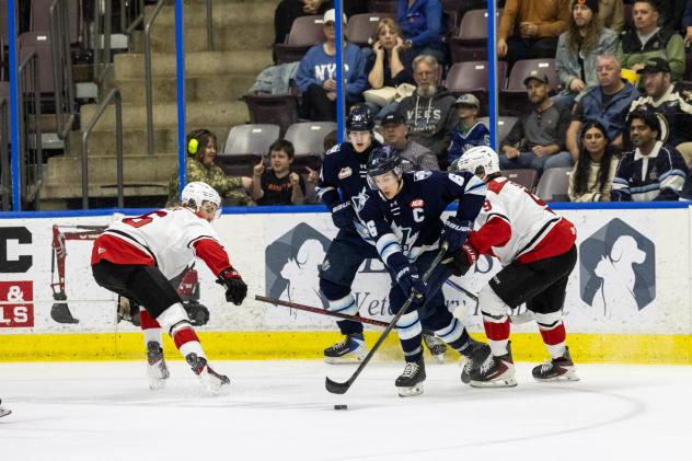Penticton Vees' Nolan Stevenson battles the Prince George Cougars