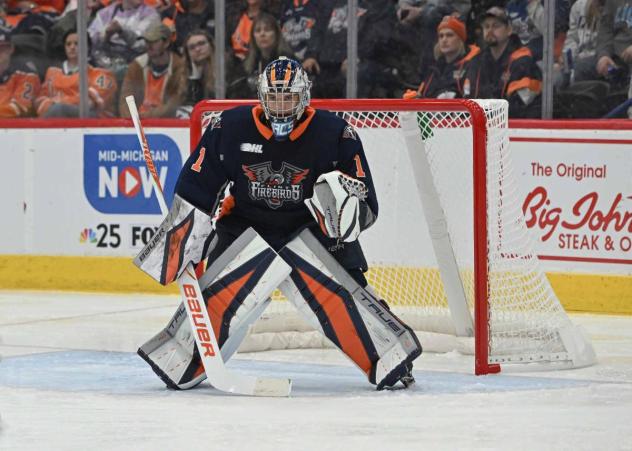 Flint Firebirds goaltender Mason Vaccari