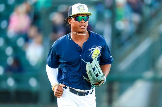 Roni Cabrera of the Columbia Fireflies