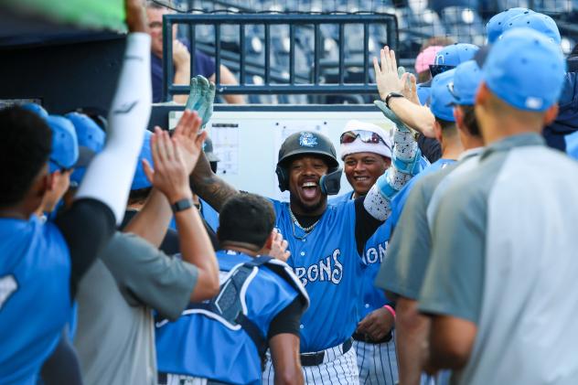 Brando Mayea of the Tampa Tarpons