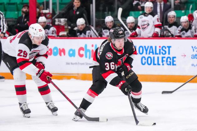 Belleville Senators right wing Luke Mistelbacher vs. the Belleville Senators