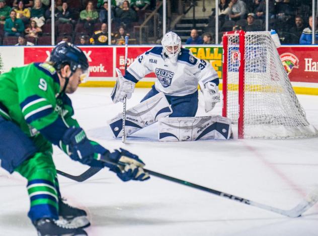 Worcester Railers goaltender Thomas Gale