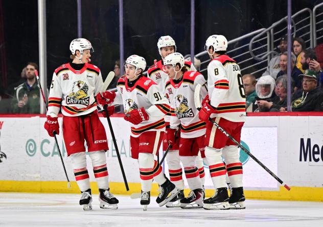 Grand Rapids Griffins gather after a goal