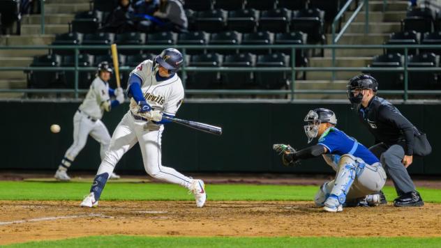 Tri-City Dust Devils at the plate