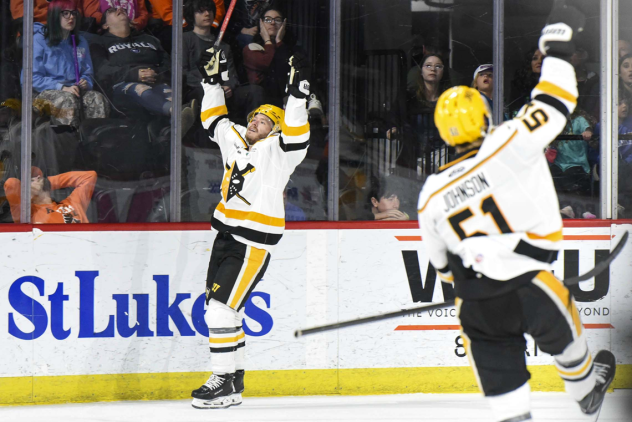 Wheeling Nailers celebrate a goal