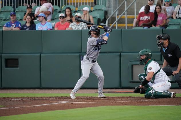 Biloxi Shuckers await a pitch
