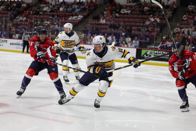 Atlanta Gladiators defenseman Cam Gaudette vs. the South Carolina Stingrays