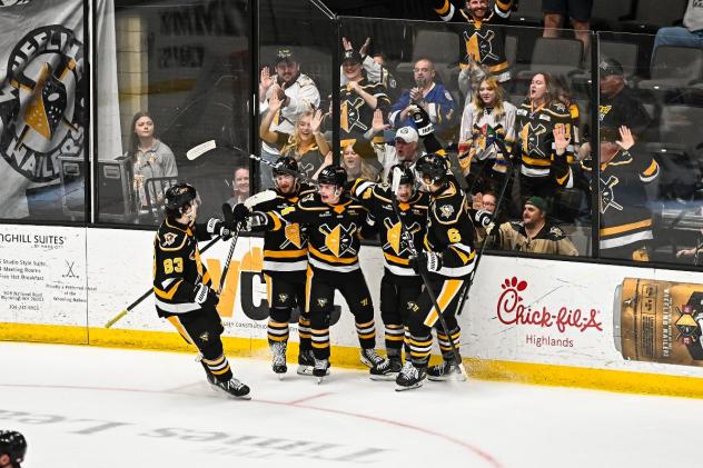 Wheeling Nailers celebrate a goal