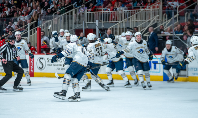 Springfield Thunderbirds on game night