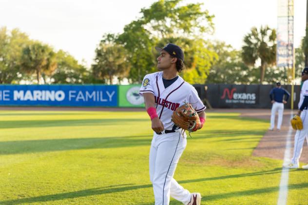Charleston RiverDogs in the field