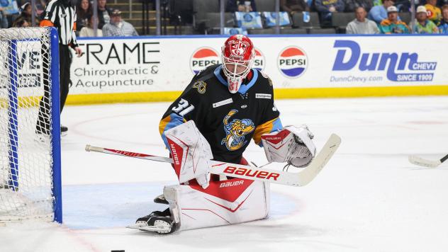 Toledo Walleye goaltender Carter Gylander