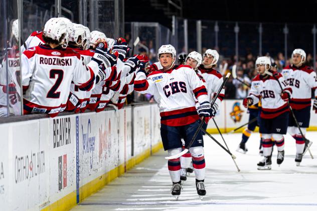 South Carolina Stingrays along the bench
