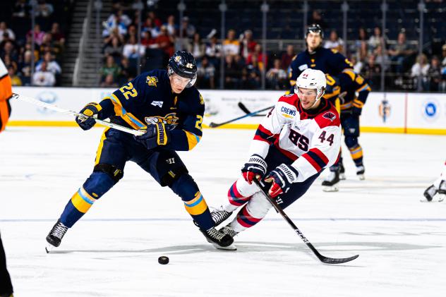 Atlanta Gladiators forward Isak Walther (left) vs. the South Carolina Stingrays
