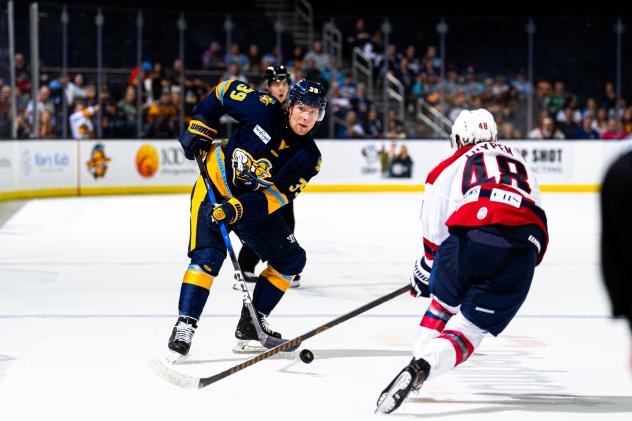 Atlanta Gladiators defenseman Chad Nychuk vs. the South Carolina Stingrays