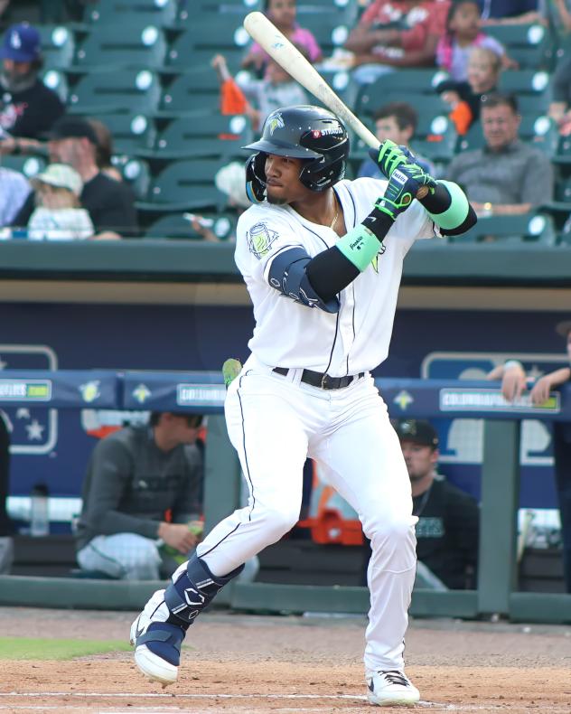Henry Ramos of the Columbia Fireflies