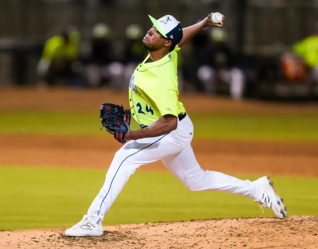 Columbia Fireflies pitcher Henson Leal