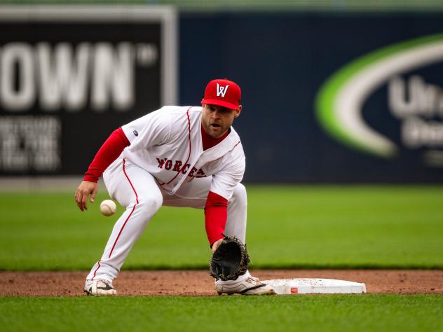 Worcester Red Sox infielder Vinny Capra