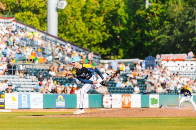 Charleston RiverDogs pitcher Trey Pooser