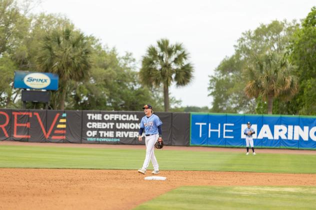 Charleston RiverDogs shortstop Daniel Pierce