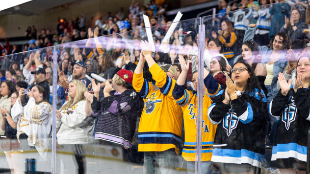 Atlanta Gladiators fans support the team