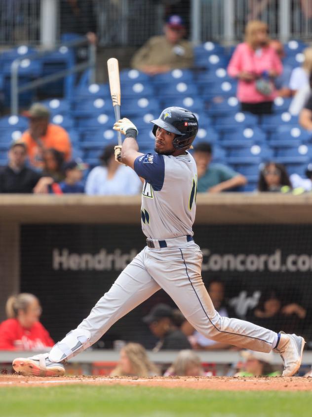 Yandel Ricardo of the Columbia Fireflies