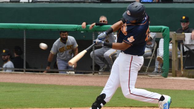 Down East Bird Dawgs at bat