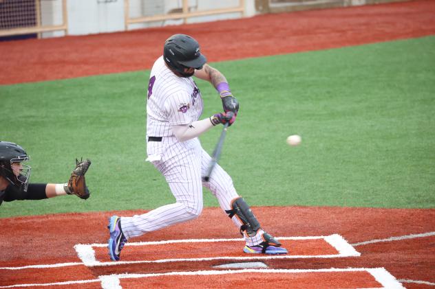 Lake Erie Crushers' Derek Vegas at bat