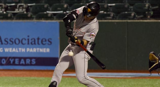 Aaron Takacs at bat for the Long Island Ducks