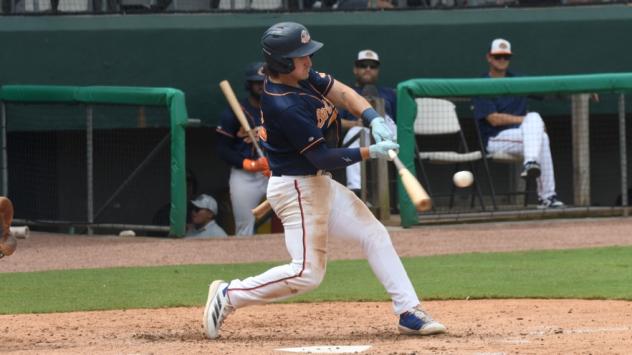 Down East Bird Dawgs at the plate