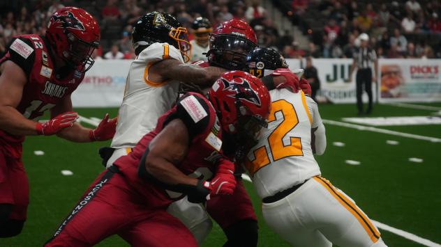 Jacksonville Sharks battle the Tulsa Oilers