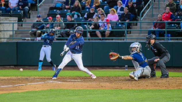 Tri-City Dust Devils shortstop Johan Macias