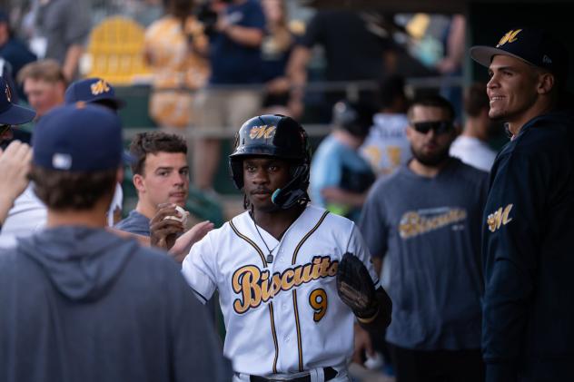Montgomery Biscuits second baseman Ryan Spikes
