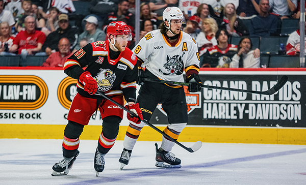 Grand Rapids Griffins left wing  Jakub Rychlovský (left) vs. the Chicago Wolves
