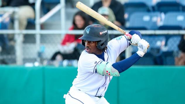 Everett AquaSox shortstop Felnin Celesten