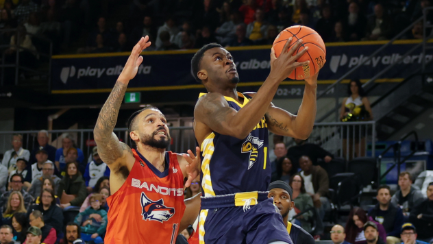Edmonton Stinger eye the basket against the Vancouver Bandits